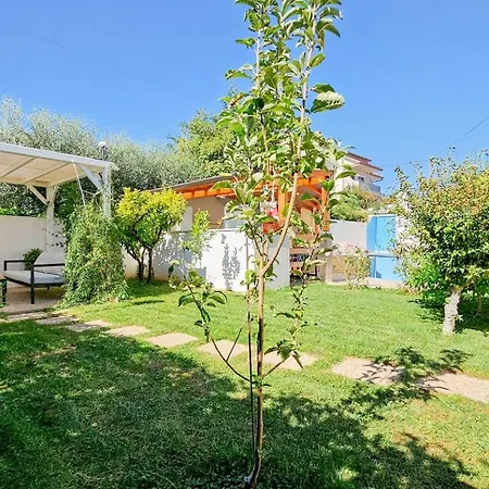 Flego 3 Novigrad (Istria)